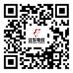 遠(yuǎn)東電纜有限公司